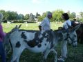 dimanche (338).jpg